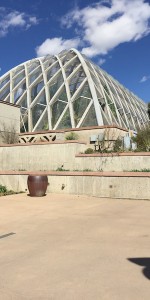 denver botanic gardens doors open denver